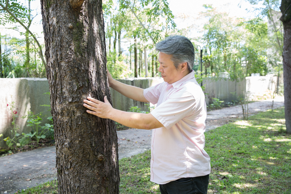 陳義豐愛惜樹木